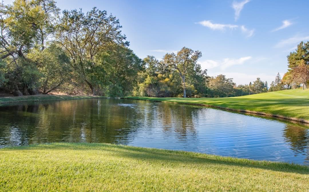 A small pond surrounded by green grass and trees under a blue sky with scattered clouds on a sunny day.