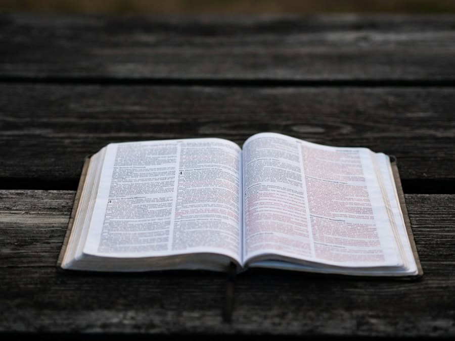 Photo Open Bible sunlight
