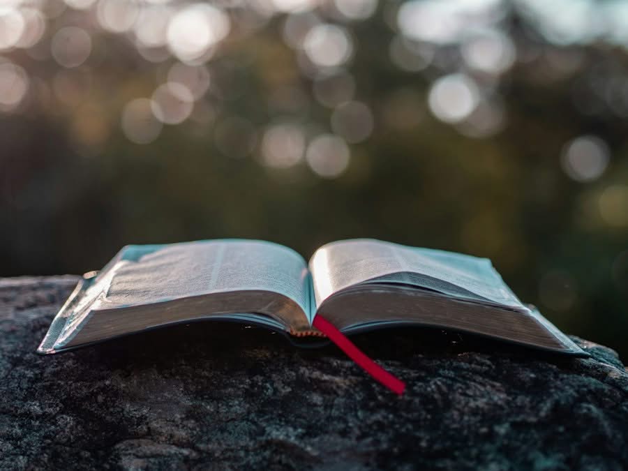 Open Bible sunlight
