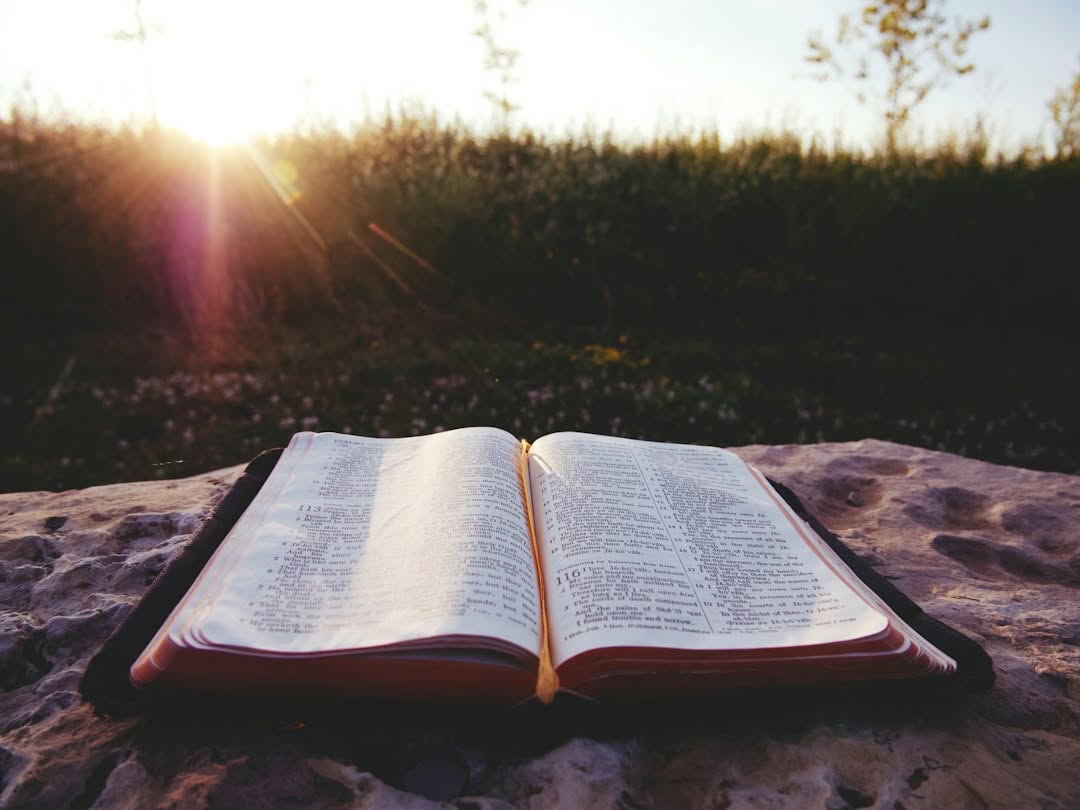 An open book rests on a stone surface outdoors, with sunlight shining through trees and grass in the background.
